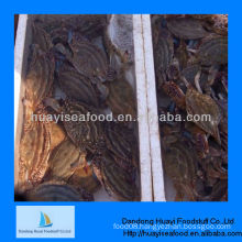 Supply iqf crab for sale